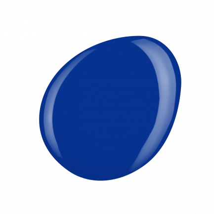 SHIELD #579 DIVERSE SKY