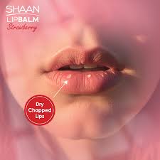 Shaan Lip Balm Strawberry 5 gm