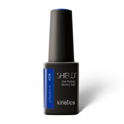 SHIELD  #579 DIVERSE SKY