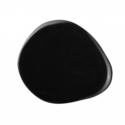 SHIELD  #580 BLACK HOLE PROFESSIONAL GEL POLISH 0.5 fl oz/15 ml